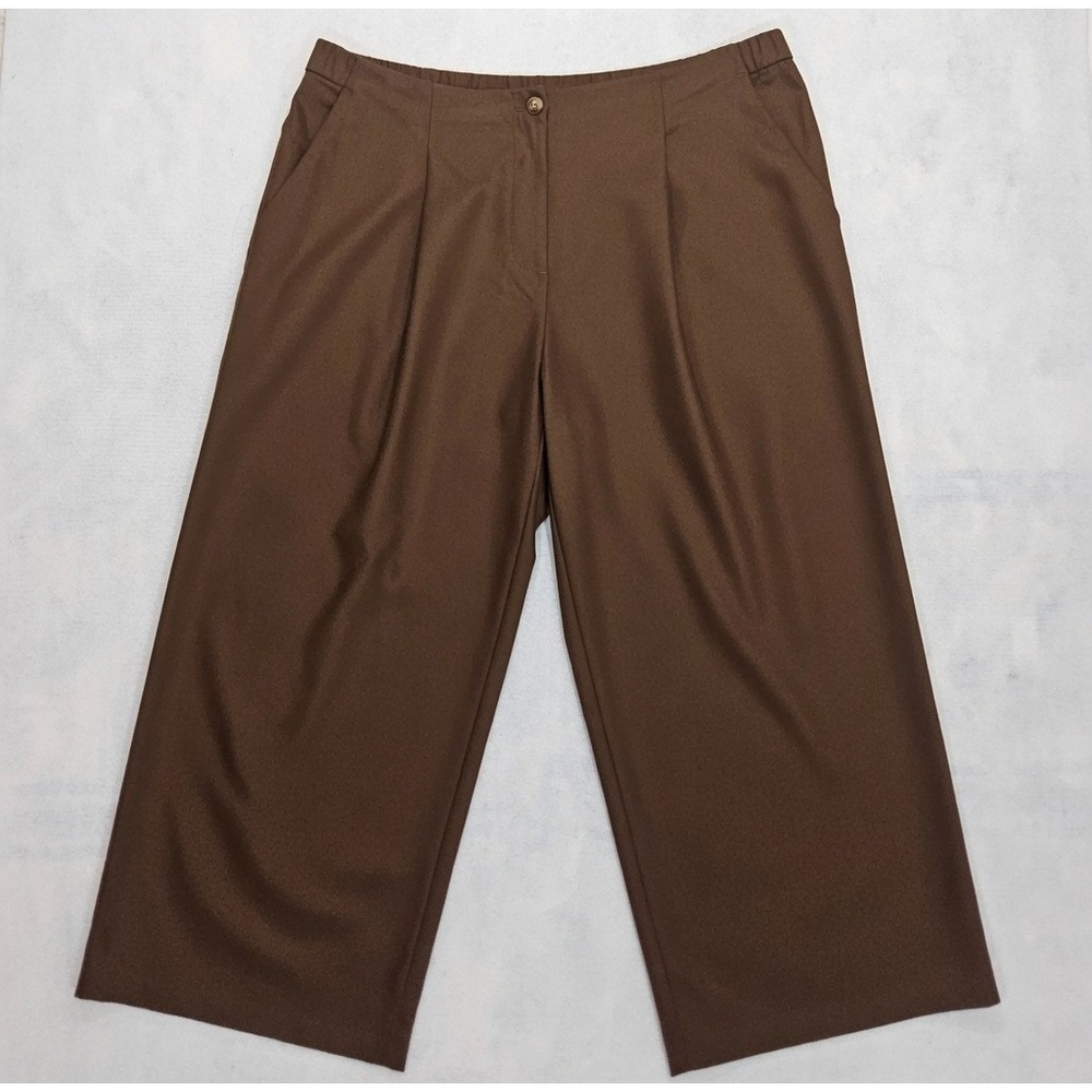J Jill Wide Leg Dress Pants 22 Stretch High Rise Brown Pleaded Trousers Pockets